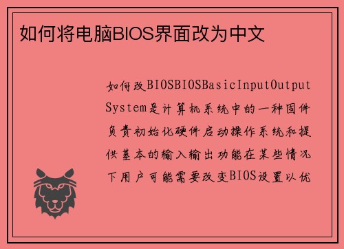 如何将电脑BIOS界面改为中文