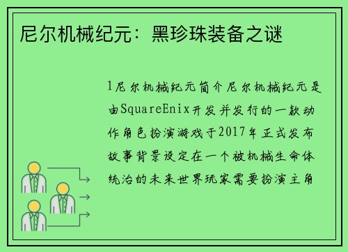 尼尔机械纪元：黑珍珠装备之谜